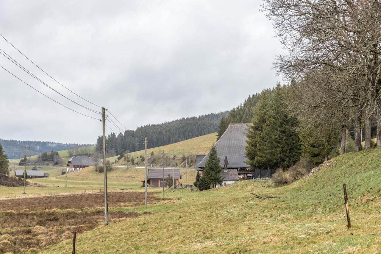 Schwoererhof Villa Eisenbach  Eksteriør billede
