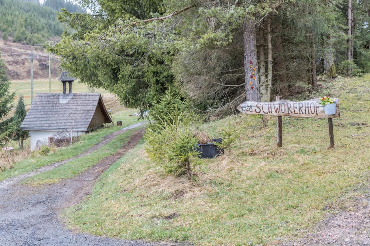 Schwoererhof Villa Eisenbach  Eksteriør billede